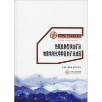 [M]铁氧化物型铜金矿床地质地球化学特征和矿床成因-9787548733645