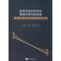 [M]桥梁及结构风效应精细化研究新进展 第二届江苏省风工程学术会议论文集-9787564183301