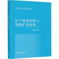[M]矿产资源形势与发展矿业对策-9787040497311