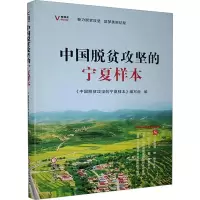 [M]中国脱贫攻坚的宁夏样本-9787227072799