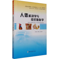 [M]人体解剖学与组织胚胎学-9787564518301
