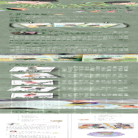 [M]范胡图快乐成长记 特别的答案-9787576016314