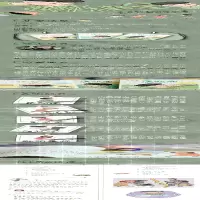 [M]范胡图快乐成长记 特别的答案-9787576016314