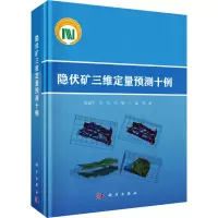 [M]隐伏矿三维定量预测十例-9787030628824