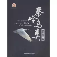 [M]秦岭鸟类原色图鉴-9787568302333