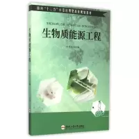 [M]生物质能源工程(面向十二五示范应用型高校规划教材)-9787565022944