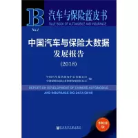 [M]中国汽车与保险大数据发展报告(2018) 2018版-9787520138215