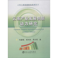 [M]云南产业发展创新动力研究-9787502480608