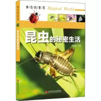 [M]昆虫的秘密生活-9787543978928