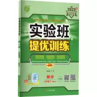 [M]实验班提优训练 数学 9年级下(RMJY) 人教版 2023-9787214145864