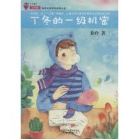 [M]丁冬的一级机密-9787541755378