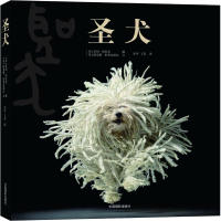 [M]圣犬-9787802366138