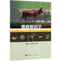 [M]麋鹿解剖学-9787030603609