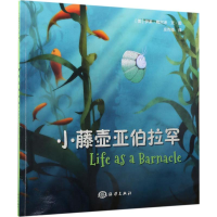 [M]小藤壶亚伯拉罕-9787502797942