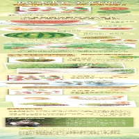 [M]好多好多好吃的(全3册) (日)平山和子 著 丁虹 译 -9787513346788