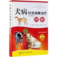 [N]犬病针灸按摩治疗图解-9787122334329
