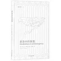 [N]紧急中的冥想(精)/副本译丛-9787541148866