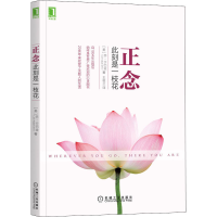 [M]正念 此刻是一枝花-9787111499220