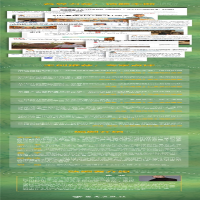 [M]山海情-9787544397094