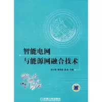 [M]智能电网与能源网融合技术-9787111594895