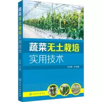 [M]蔬菜无土栽培实用技术-9787122382948