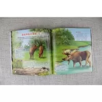[M]童眼识天下科普馆 森林动物-9787122302724