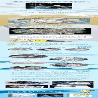 [M]妖怪大全 中国·世界篇-9787544296687