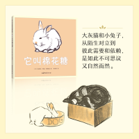 [M]它叫棉花糖-9787532960477