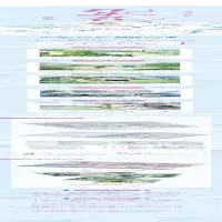 [M]几朵花-9787559470706