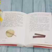 [M]岁时节俗知多少 马大勇 著 Dodolog 绘 -9787302586289