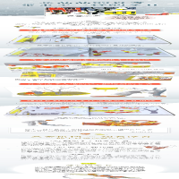 [M]白雪晶晶-9787513314282