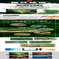 [M]雨林秘境-9787555209874