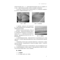 [M]服装材料识别与应用-9787566919243