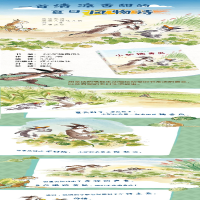 [M]小驴摘香瓜-9787544861625