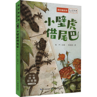 [M]小壁虎借尾巴 注音彩绘版-9787556447831