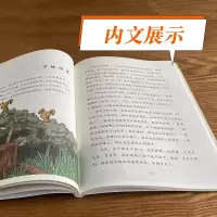 [M]中国古代寓言-9787558175541