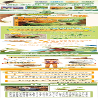 [M]弄丢名字的獾 张秋生 著 -9787532788231