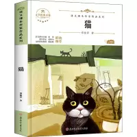 [M]猫 青少本-9787558545542