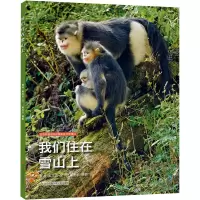 [M]我们住在雪山上-9787558428715