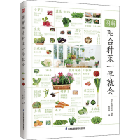 [M]图解阳台种菜一学就会-9787571324872