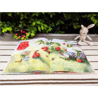 [M]草莓贝儿冒险故事绘本 草莓魔法比赛 (德)斯特芬妮·达勒 著 高大玉 译 -9787535696618