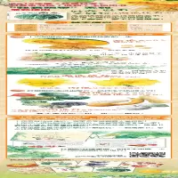 [M]胖墩墩的南瓜-9787558904943
