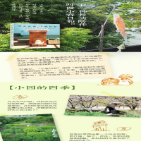 [M]明天也是小春日和-9787513320375