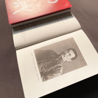 [M]呐喊 百年纪念版-9787540364540