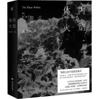 [M]体内火焰 陈思安 著 -9787509016114