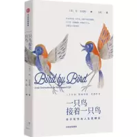 [M]一只鸟接着一只鸟 关于写作与人生的建议-9787521749748