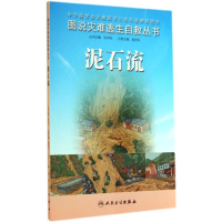 [M]泥石流-9787117187879