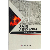 [M]火力渗透贯通煤炭地下气化-9787030570482