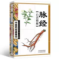 [M]脉经白话精解-9787530853627