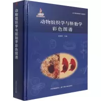 [M]动物组织学与胚胎学彩色图谱 彭克美 编 -9787109281929